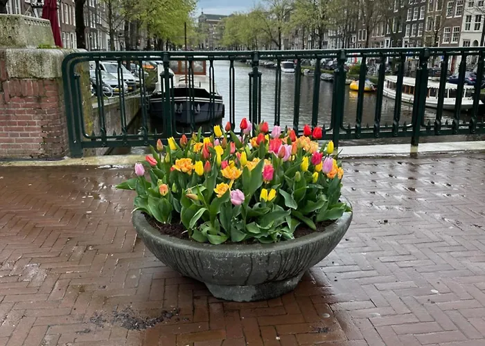 Prinsengracht Hotel Amsterdam